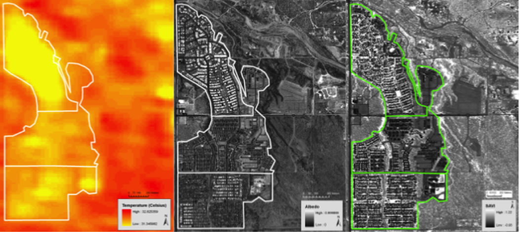 Turner Galletti Albedo Map