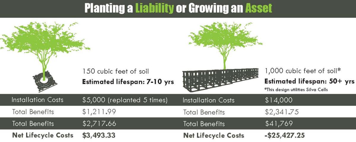 Asset vs. Liability, Trees