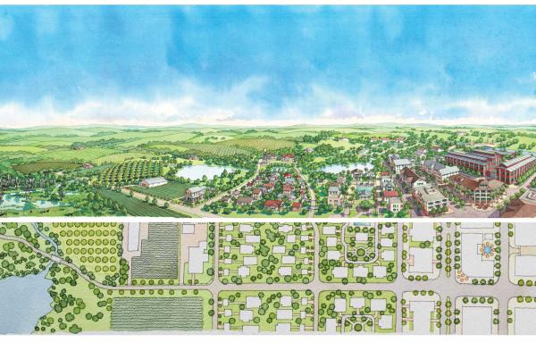 Article image for Transect-based plan and code for rural community