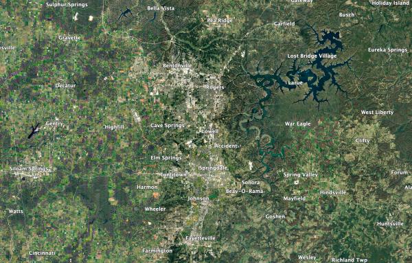 Article image for Growth Without Sameness: Why CNU 34 in Northwest Arkansas matters now