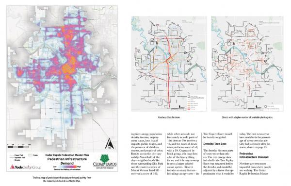 Article image for Citywide forestry plan sets a New Urban standard