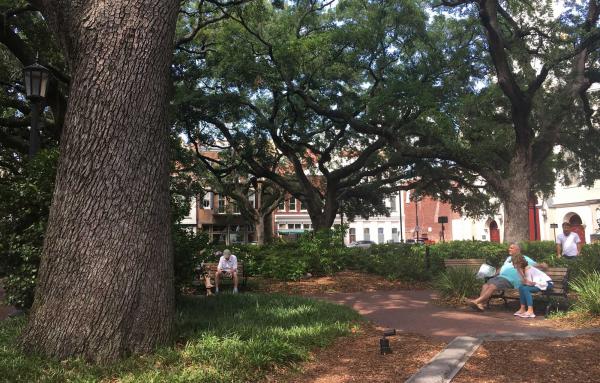 Article image for Ten environmental benefits of walkable places