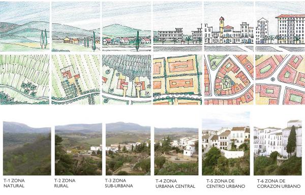 Article image for Your guide to a unifying urban theory