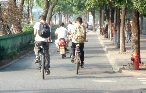 Article image for Are street trees the key to better cycle tracks?