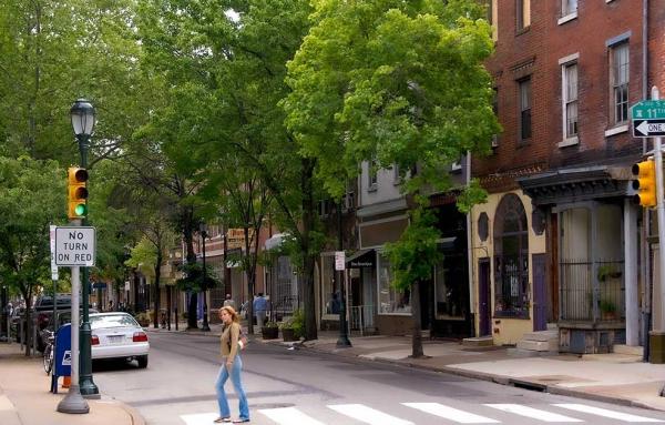 Article image for The powerful virtuous cycles of street trees