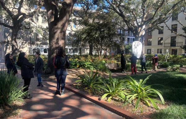 Article image for Learning from Savannah