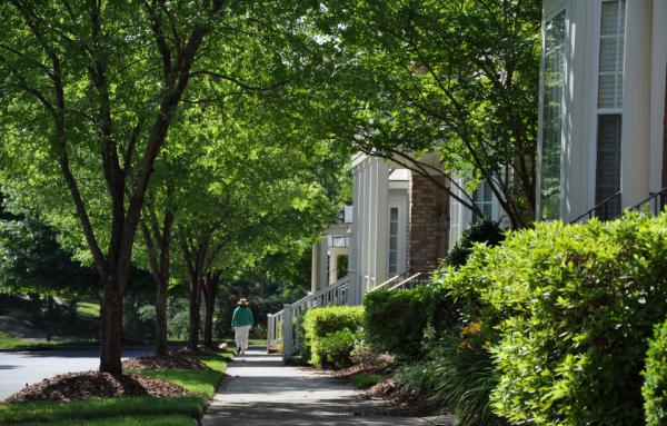 Article image for The life-saving benefits of street trees