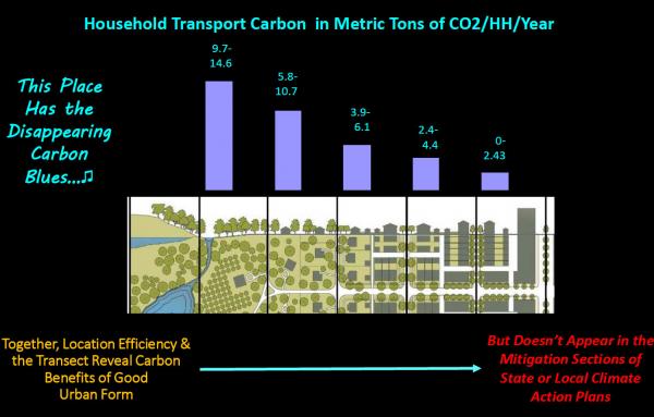 Article image for Carbon emissions and the Transect