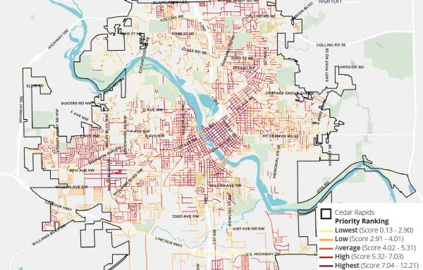 Article image for Ambitious plan to replace tree canopy lost to storm