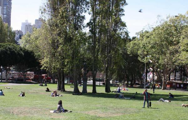 Article image for What makes a good urban park