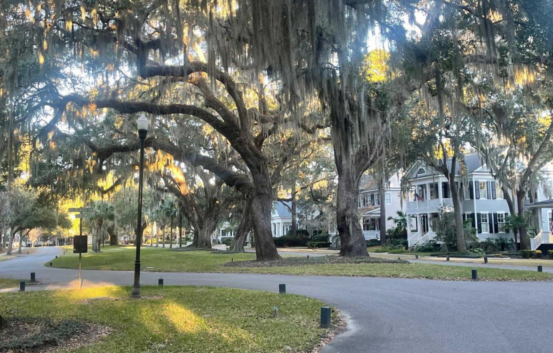 Article image for New Urban Update: IncDev in Gaza, Tom Low, Charter Awards, Shoup, and Brussat