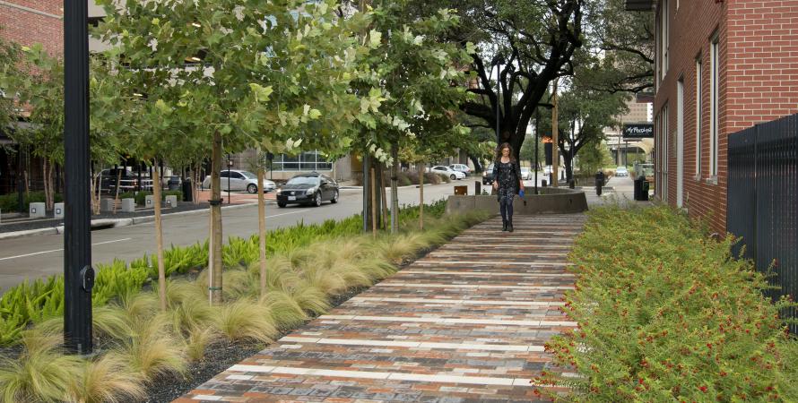 Bagby Street Houston tree crate bench