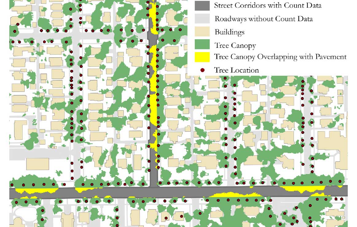 Tree canopies make us safe; Here’s how to grow them throughout cities CNU
